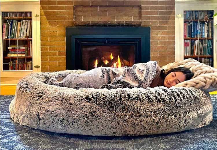 Biggest dog bed hot sale in the world