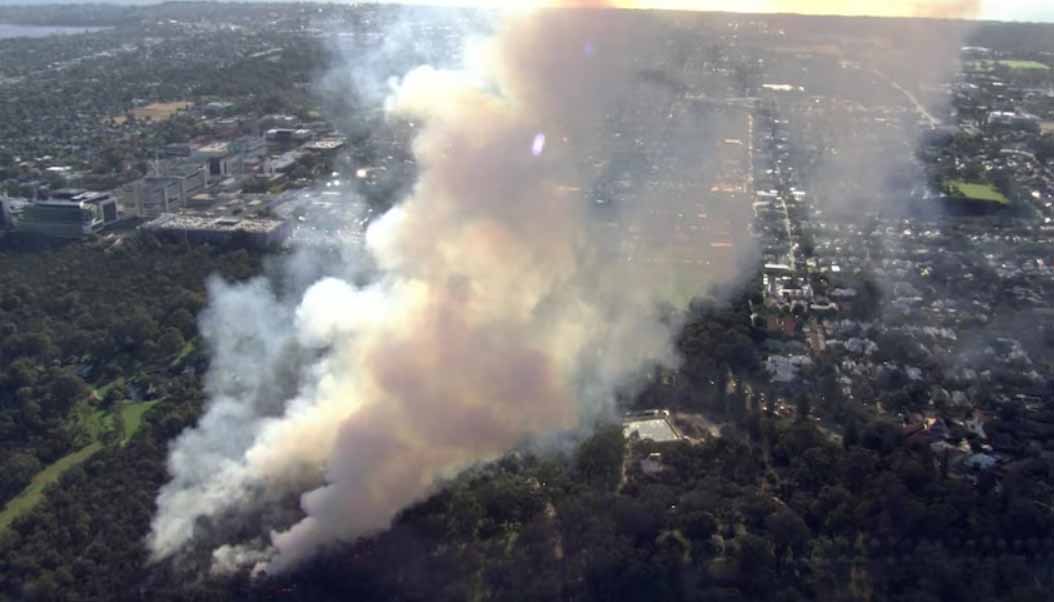 The Chest Rugs Are Getting Smaller Perth Firefighters Launch 2024   Kings Park Fire ABC 